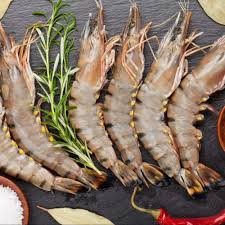 Black Tiger Shrimps Raw Head On Shell On 16/20