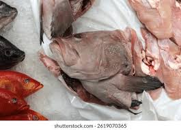 Humphead Snapper Raw Gutted Bone-In