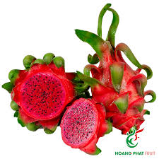 Fresh Dragon Fruit Red Flesh