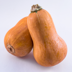 SQUASH