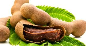 Tamarind FRUIT