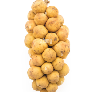 Fresh Longkong (Lanzones)