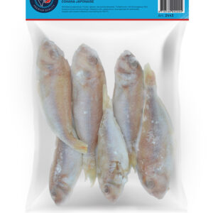 Japanese Threadfin Bream Raw Gutted Descaled